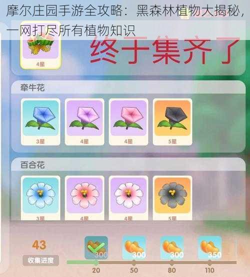 摩尔庄园手游全攻略:黑森林植物大揭秘,一网打尽所有植物知识