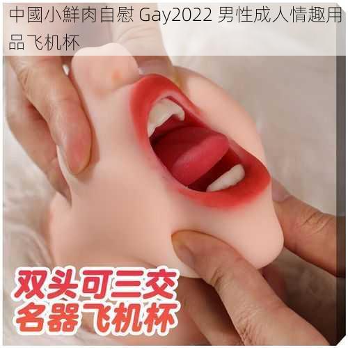 中國小鮮肉自慰 Gay2022 男性成人情趣用品飞机杯