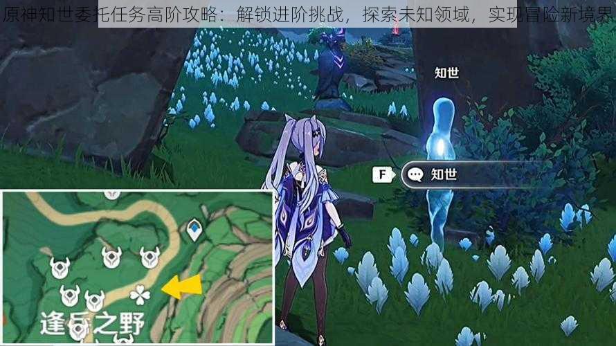 原神知世委托任务高阶攻略:解锁进阶挑战,探索未知领域,实现冒险新境界