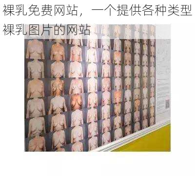 裸乳免费网站,一个提供各种类型裸乳图片的网站