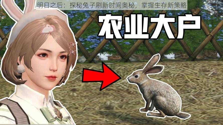 明日之后:探秘兔子刷新时间奥秘,掌握生存新策略
