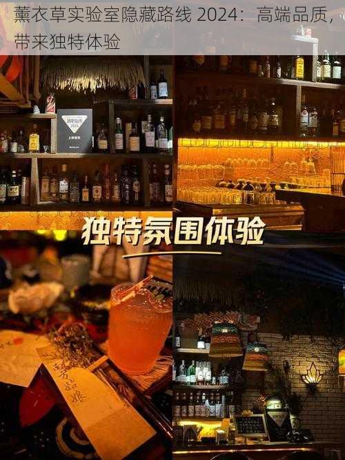 薰衣草实验室隐藏路线 2024:高端品质,带来独特体验