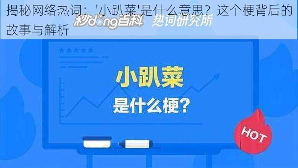 揭秘网络热词:'小趴菜'是什么意思?这个梗背后的故事与解析