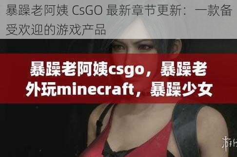 暴躁老阿姨 CsGO 最新章节更新:一款备受欢迎的游戏产品
