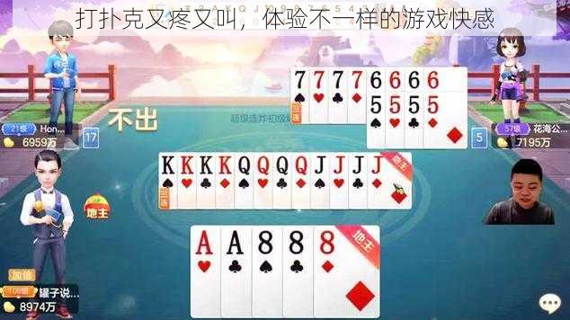 打扑克又疼又叫,体验不一样的游戏快感