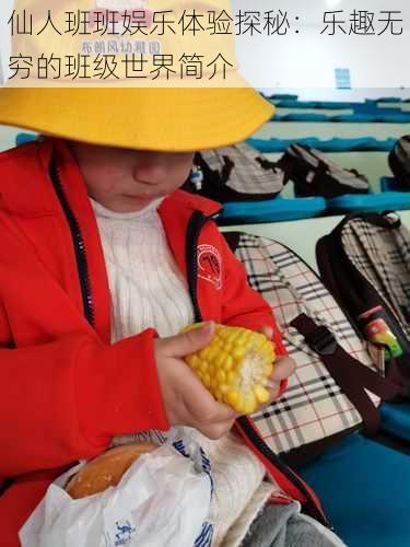 仙人班班娱乐体验探秘:乐趣无穷的班级世界简介