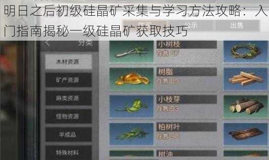 明日之后初级硅晶矿采集与学习方法攻略:入门指南揭秘一级硅晶矿获取技巧