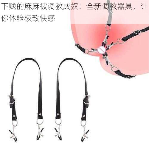 下贱的麻麻被调教成奴:全新调教器具,让你体验极致快感