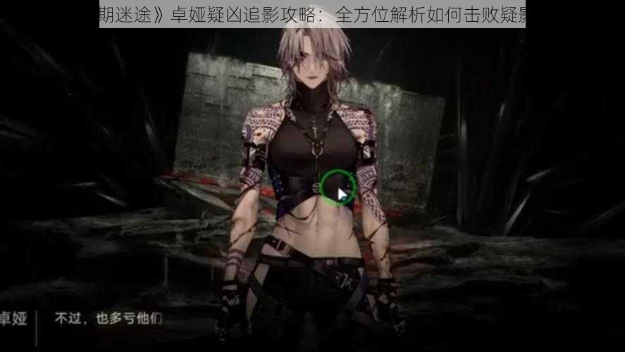 《无期迷途》卓娅疑凶追影攻略:全方位解析如何击败疑影敌人
