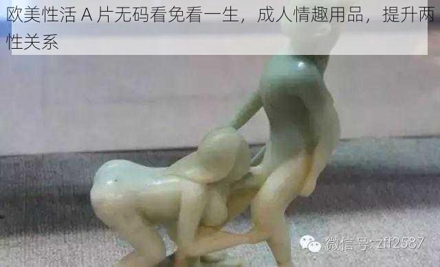 欧美性活 A 片无码看免看一生,成人情趣用品,提升两性关系