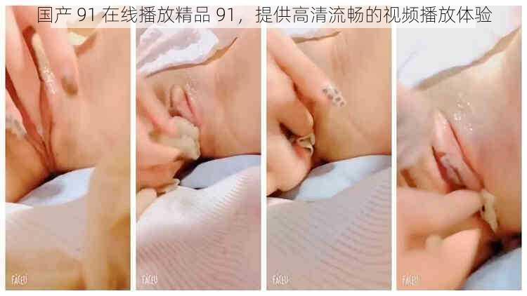 国产 91 在线播放精品 91,提供高清流畅的视频播放体验