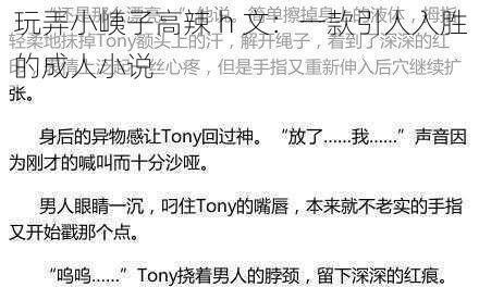 玩弄小峓子高辣 h 文:一款引人入胜的成人小说