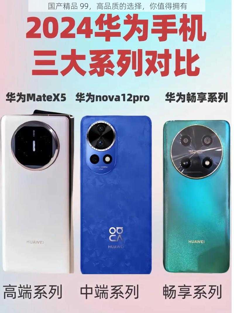 国产精品 99,高品质的选择,你值得拥有