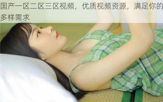 国产一区二区三区视频,优质视频资源,满足你的多样需求