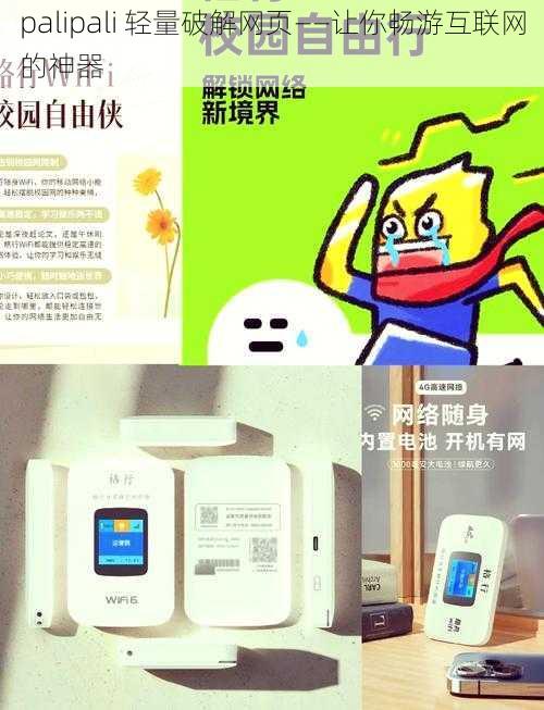 palipali 轻量破解网页——让你畅游互联网的神器