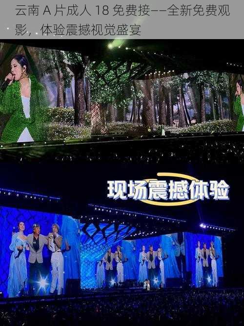 云南 A 片成人 18 免费接——全新免费观影,体验震撼视觉盛宴