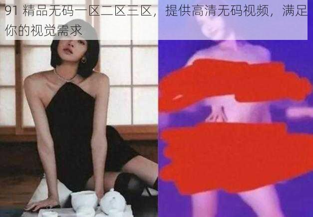 91 精品无码一区二区三区,提供高清无码视频,满足你的视觉需求