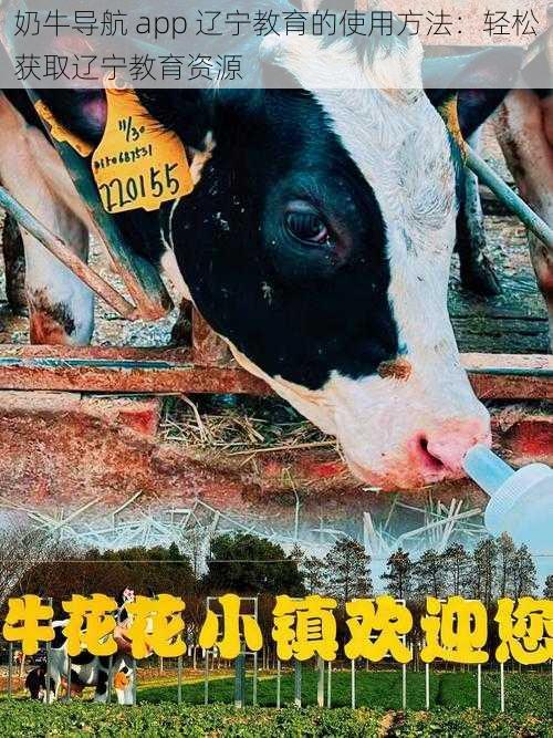 奶牛导航 app 辽宁教育的使用方法:轻松获取辽宁教育资源