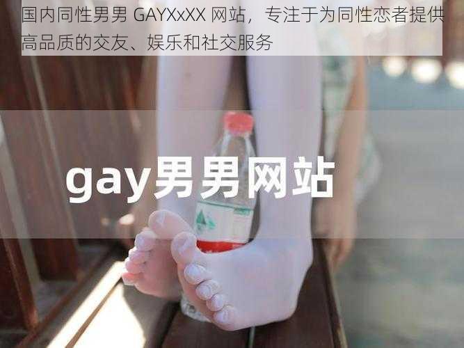国内同性男男 GAYXxXX 网站,专注于为同性恋者提供高品质的交友、娱乐和社交服务
