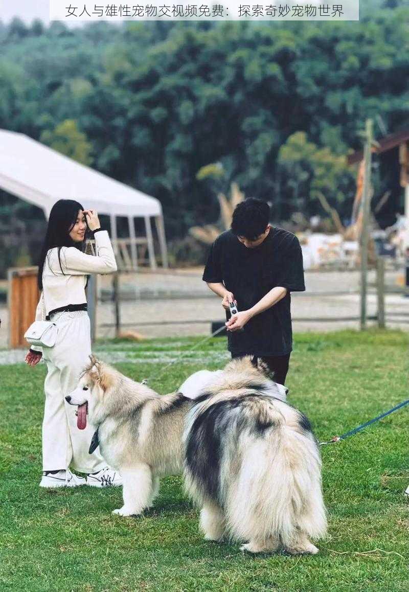 女人与雄性宠物交视频免费:探索奇妙宠物世界