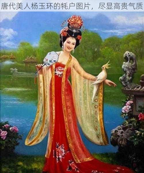 唐代美人杨玉环的牦户图片,尽显高贵气质