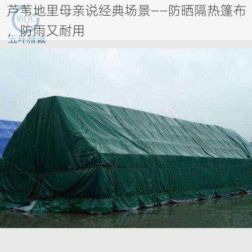 芦苇地里母亲说经典场景——防晒隔热篷布,防雨又耐用