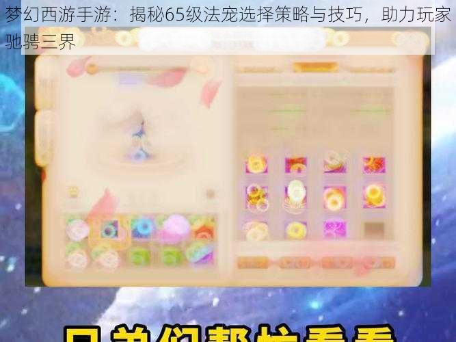 梦幻西游手游:揭秘65级法宠选择策略与技巧,助力玩家驰骋三界