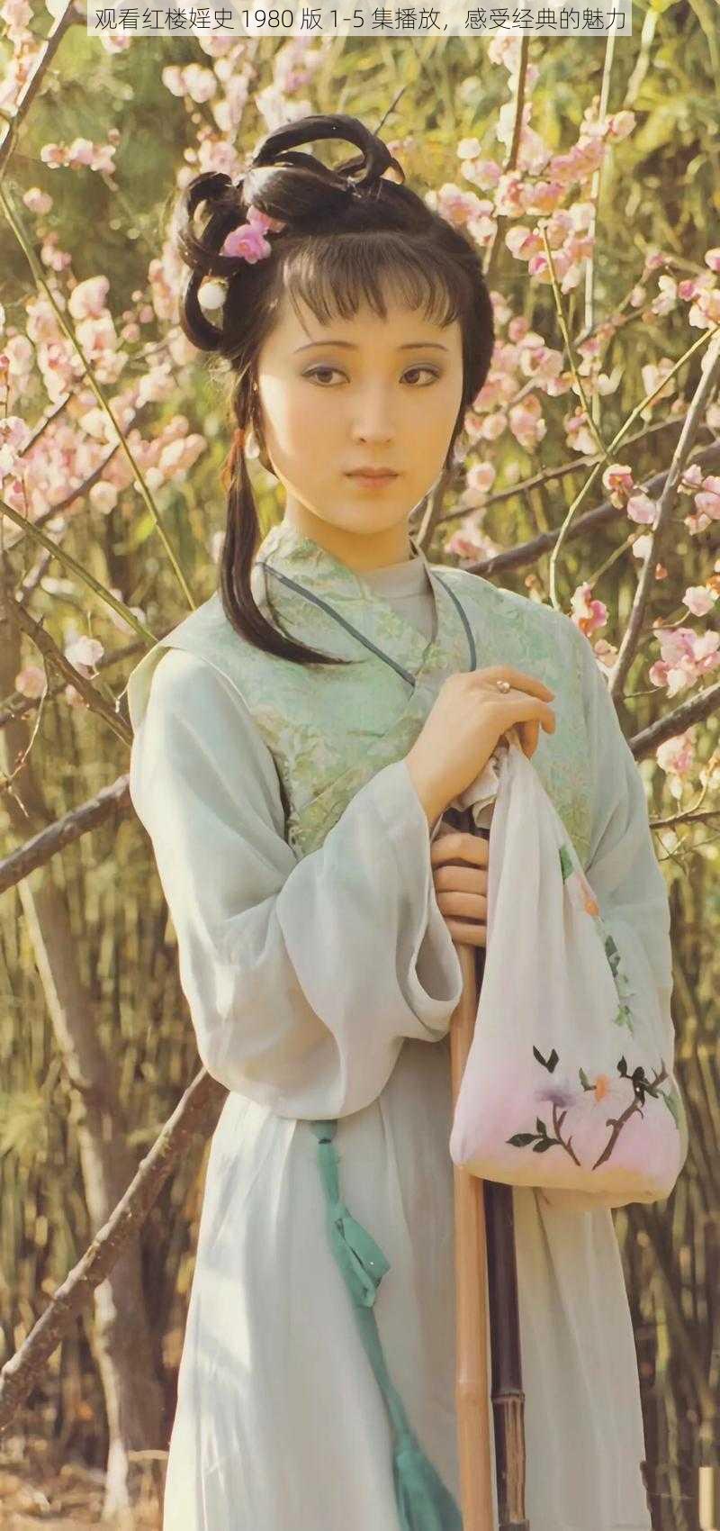 观看红楼婬史 1980 版 1-5 集播放,感受经典的魅力