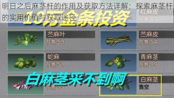 明日之后麻茎杆的作用及获取方法详解:探索麻茎杆的实用价值与获取途径