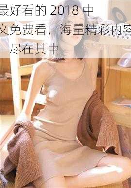 最好看的 2018 中文免费看,海量精彩内容,尽在其中