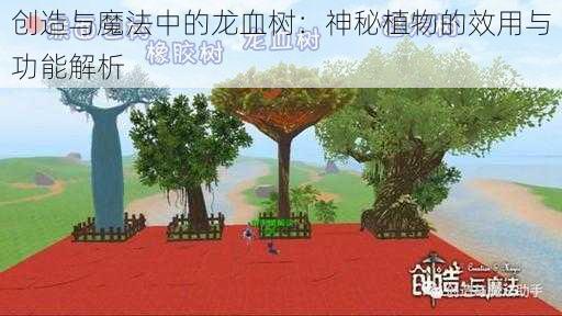 创造与魔法中的龙血树:神秘植物的效用与功能解析