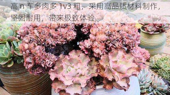 高 n 车多肉多 1v3 粗,采用高品质材料制作,坚固耐用,带来极致体验