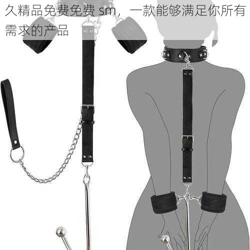 久精品免费免费 sm,一款能够满足你所有需求的产品