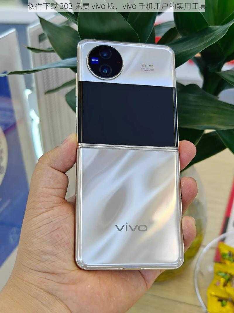 软件下载 303 免费 vivo 版,vivo 手机用户的实用工具