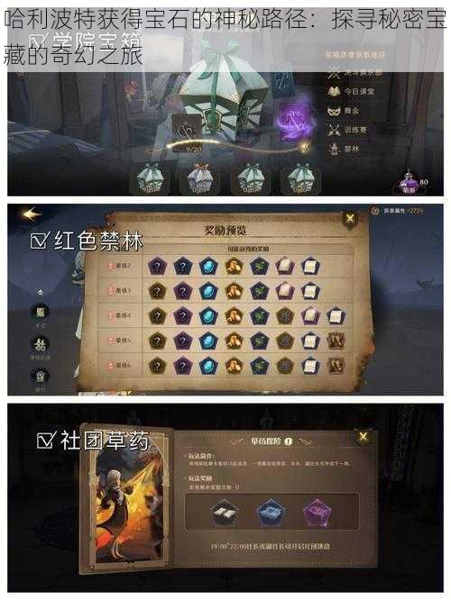 哈利波特获得宝石的神秘路径:探寻秘密宝藏的奇幻之旅