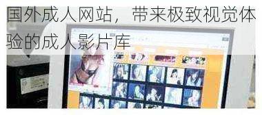 国外成人网站,带来极致视觉体验的成人影片库
