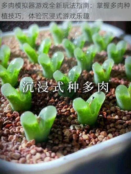 多肉模拟器游戏全新玩法指南:掌握多肉种植技巧,体验沉浸式游戏乐趣
