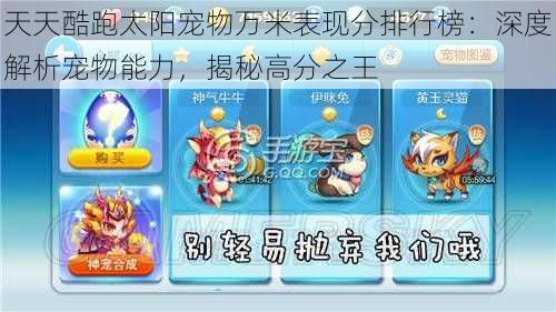天天酷跑太阳宠物万米表现分排行榜:深度解析宠物能力,揭秘高分之王
