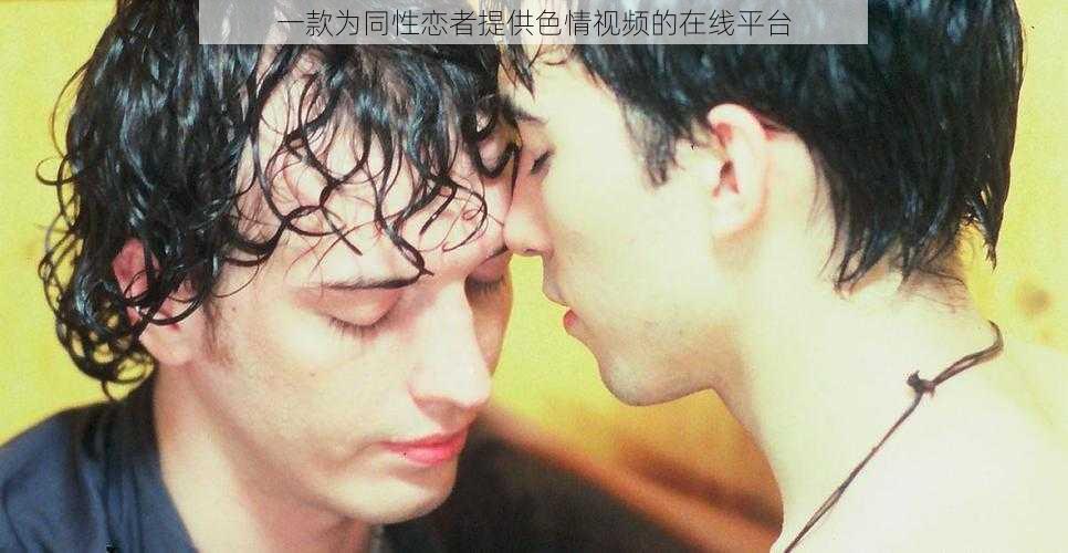 一款为同性恋者提供色情视频的在线平台