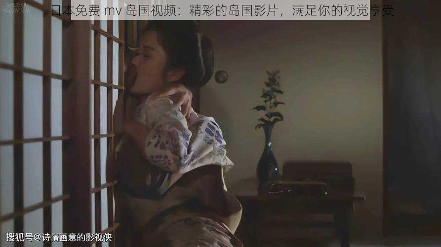日本免费 mv 岛国视频:精彩的岛国影片,满足你的视觉享受