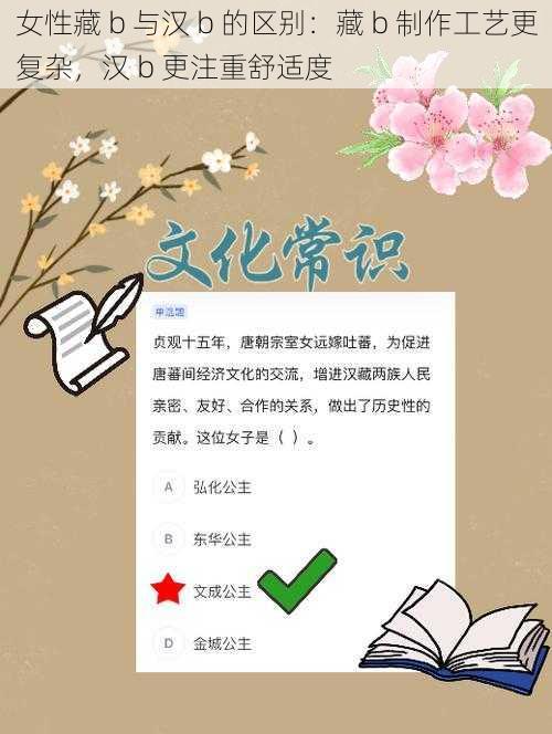 女性藏 b 与汉 b 的区别:藏 b 制作工艺更复杂,汉 b 更注重舒适度