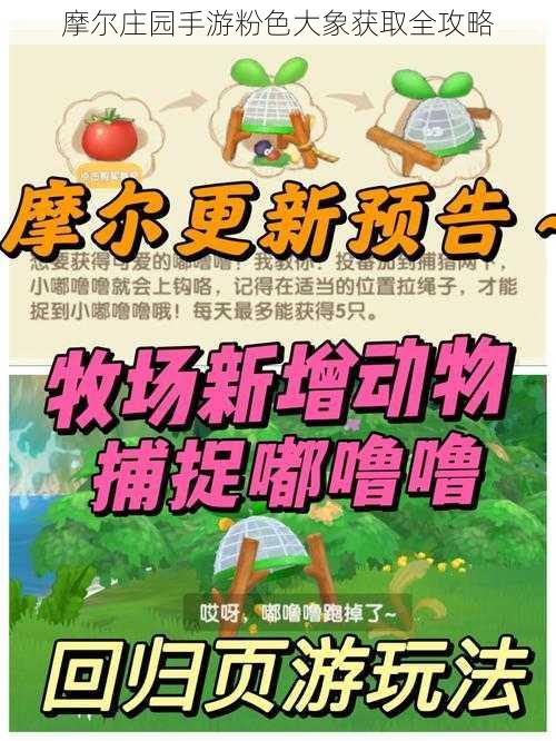 摩尔庄园手游粉色大象获取全攻略