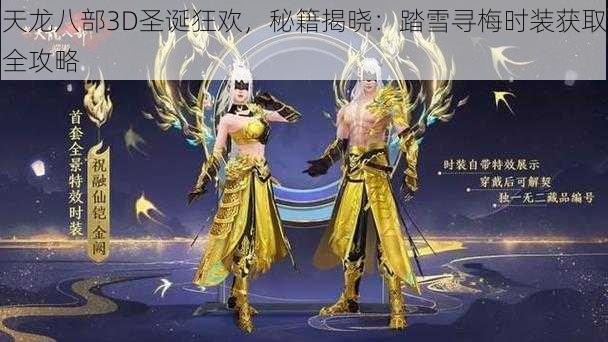 天龙八部3D圣诞狂欢,秘籍揭晓:踏雪寻梅时装获取全攻略