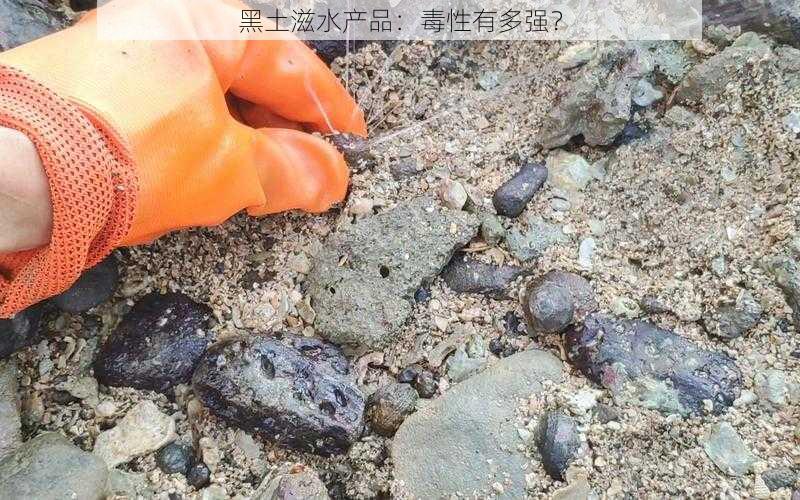 黑土滋水产品:毒性有多强?