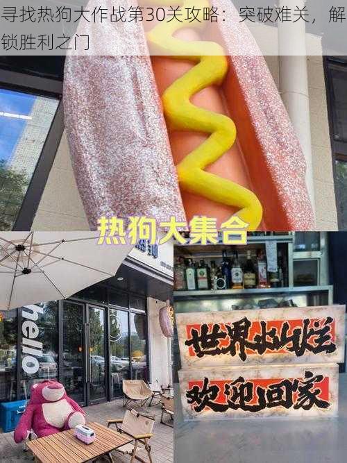 寻找热狗大作战第30关攻略:突破难关,解锁胜利之门