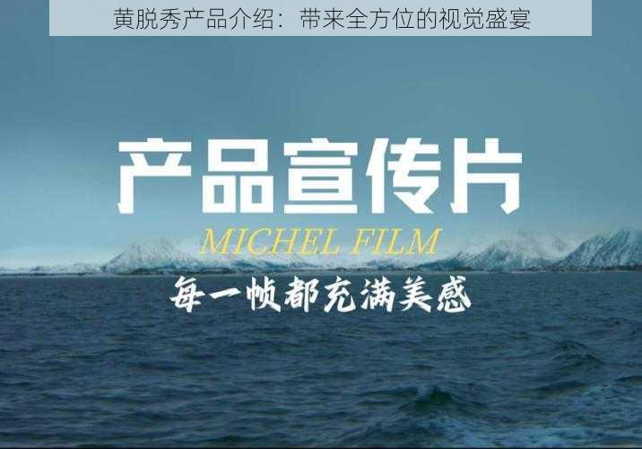 黄脱秀产品介绍:带来全方位的视觉盛宴