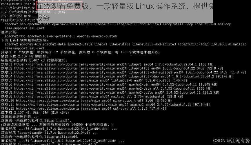 Lubuntu 在线观看免费版,一款轻量级 Linux 操作系统,提供免费的在线视频观看服务