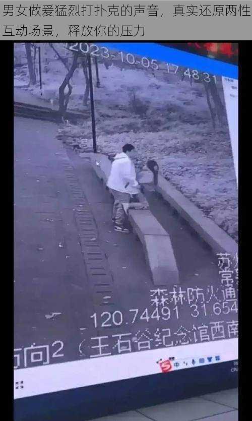 男女做爰猛烈打扑克的声音,真实还原两性互动场景,释放你的压力