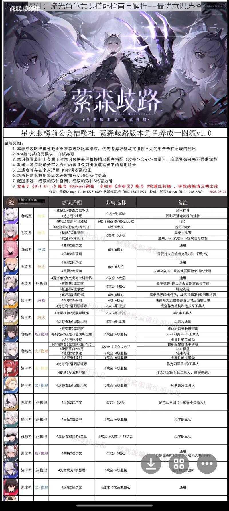 战双帕弥什:流光角色意识搭配指南与解析——最优意识选择全解析