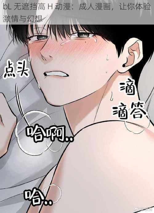 bL 无遮挡高 H 动漫:成人漫画,让你体验激情与幻想